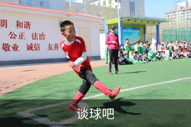 谈球吧公司简介展示图